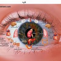 تشخیص بیماری از عنبیه