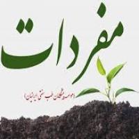 اموزش مبانی ومفردات طب سنتی