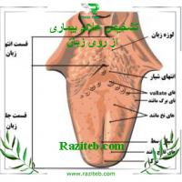 تشخیص بیماری از روی زبان