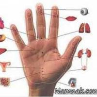 تشخیص بیماری ها از دست