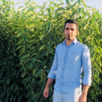 نهالستان بغدادی