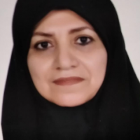 شمس رزمی